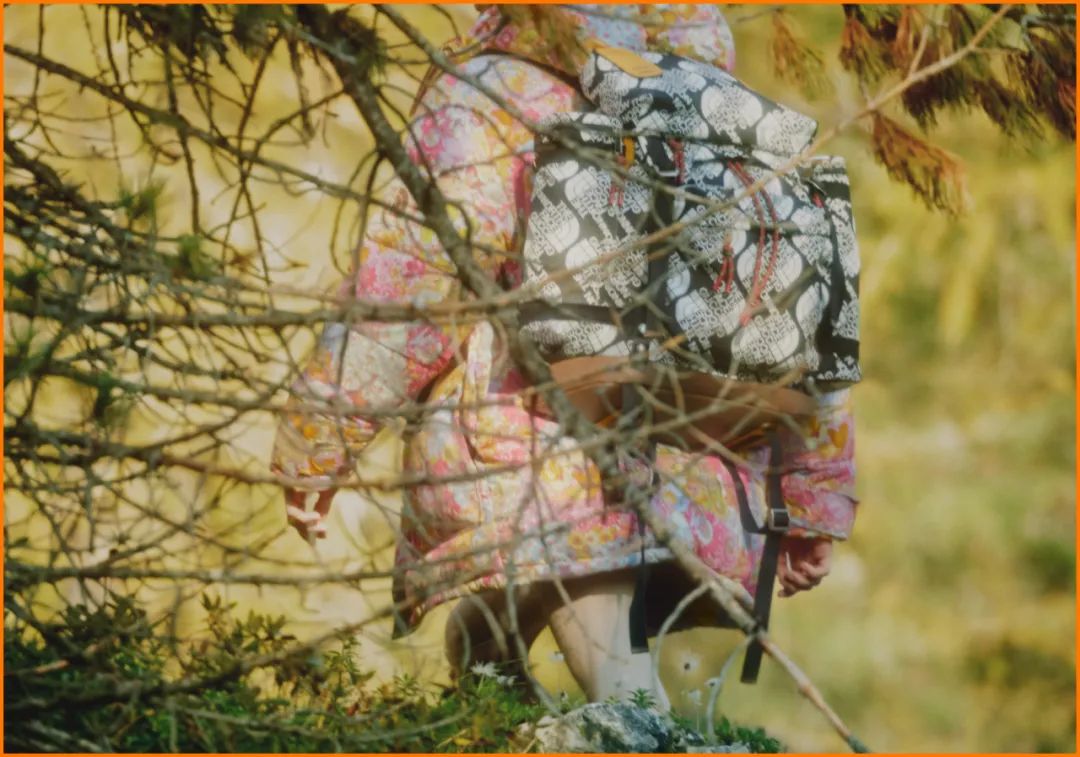 为什么满大街都是穿北面羽绒服的,北面羽绒服700和900的区别