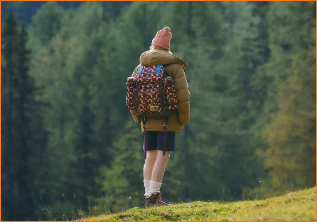 为什么满大街都是穿北面羽绒服的,北面羽绒服700和900的区别