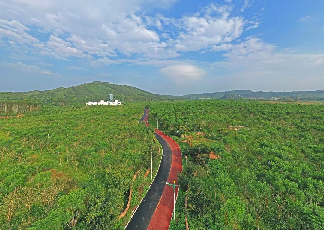 广西体育旅游示范基地2017,广西全域旅游示范市