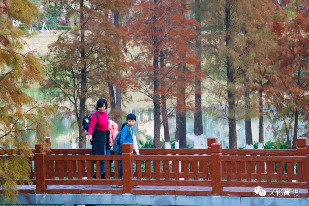 1月最美的佛山藏在这里！全部免费赏！