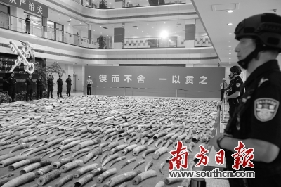 2022年海关筑牢国门防线,黄埔海关缉私局