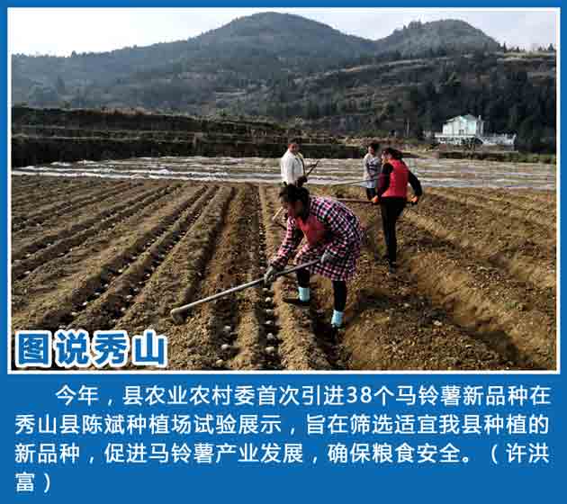 《重庆秀山手机报》第1654期