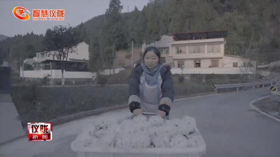 仪陇县附近的加工厂,仪陇来料加工