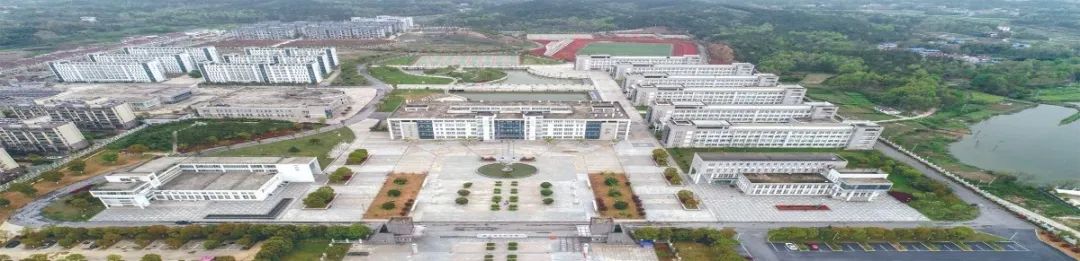 辉煌“十三五”开启新征程|枞阳教育体育事业实现新跨越