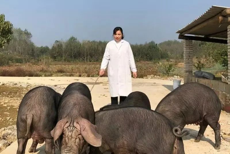 最美基层妇联人展播,妇联最美女性人才