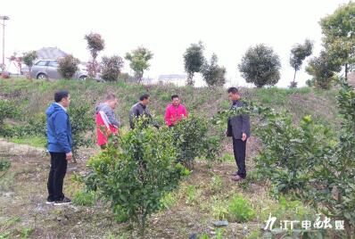 村村寨寨换新颜,山村换新颜照片