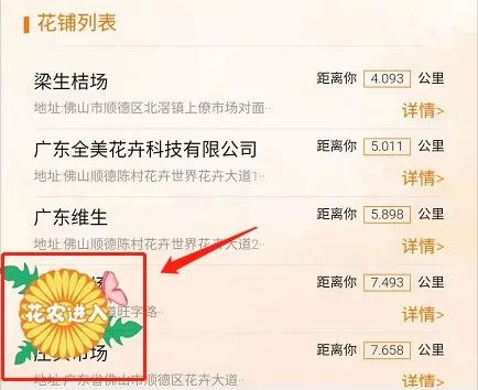 佛山今年哪里有花市,佛山市内哪里有年花批发