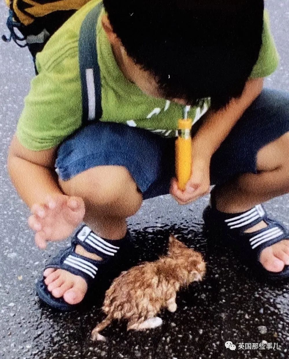 捡到小奶猫变身成男神,捡回来的小奶猫