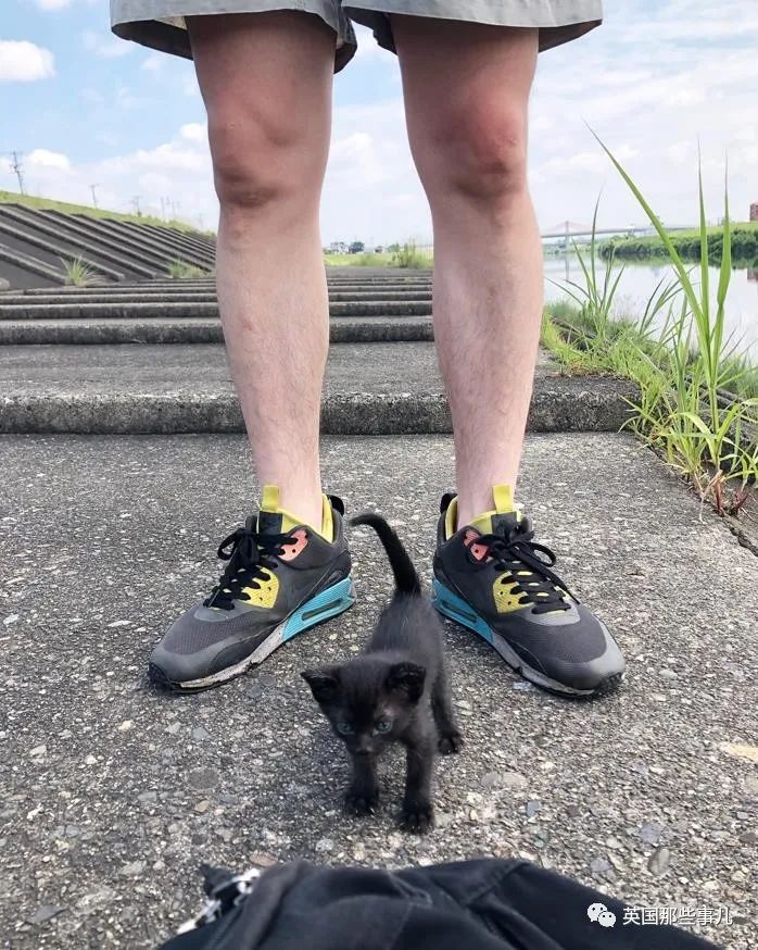 捡到小奶猫变身成男神,捡回来的小奶猫