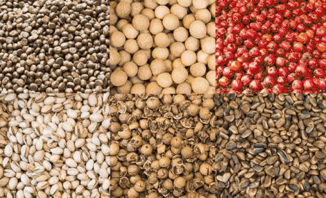 潮享玩昆明,昆明潮玩集合