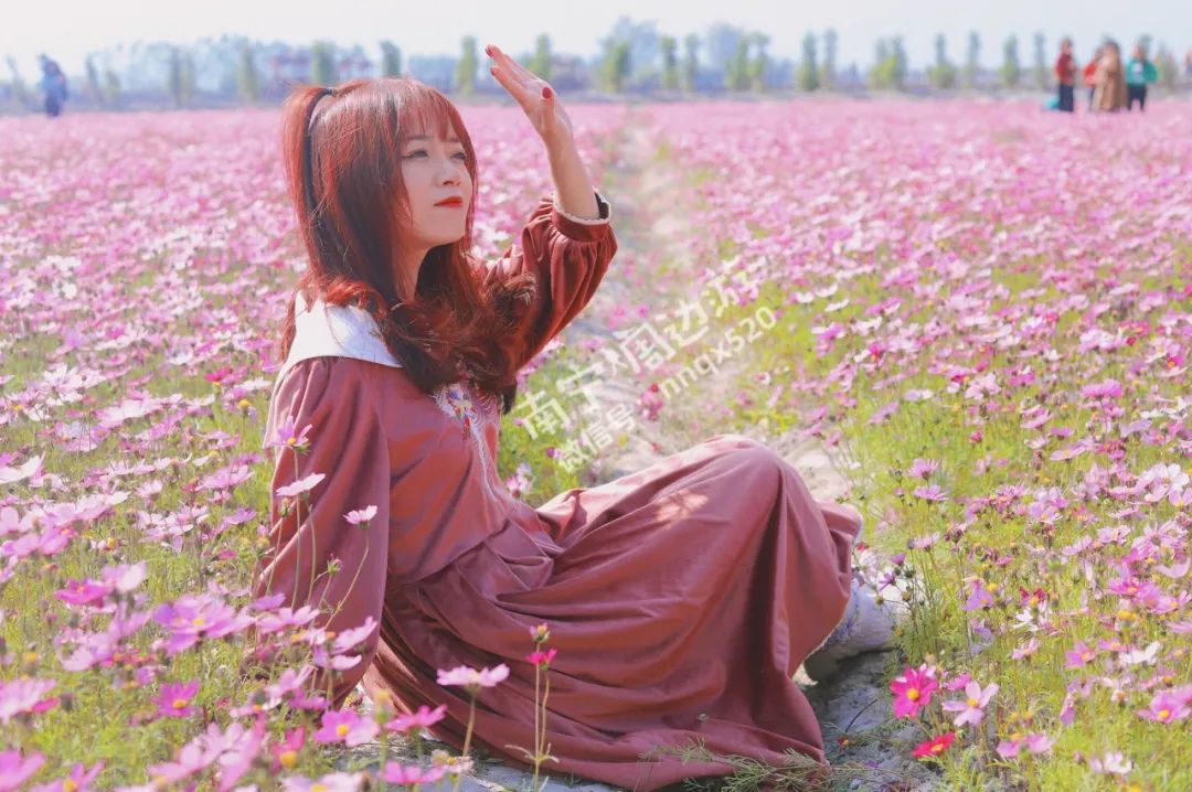 南宁赏花2022,赏花攻略南宁