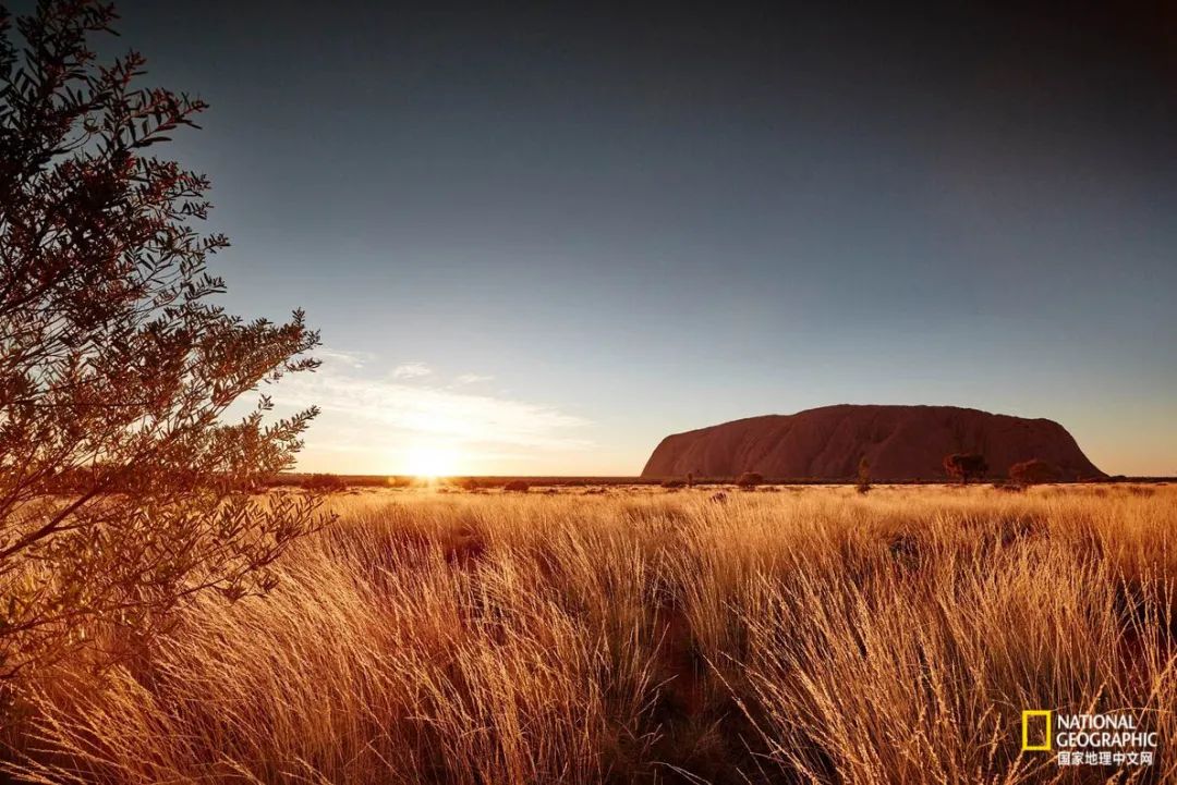 澳洲心脏病,澳大利亚血汗管科发达吗