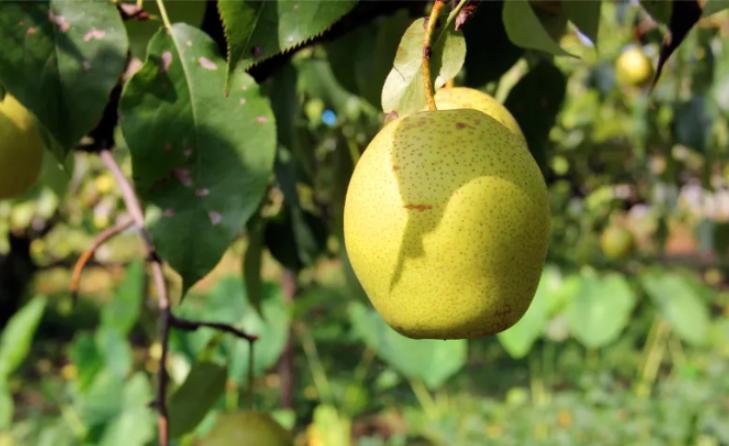 头条：滨海“十大好物”名单出炉