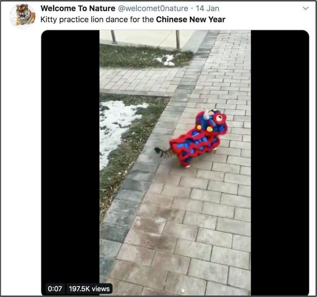 老外看中国奇葩购物,外国人看中国奇葩物品