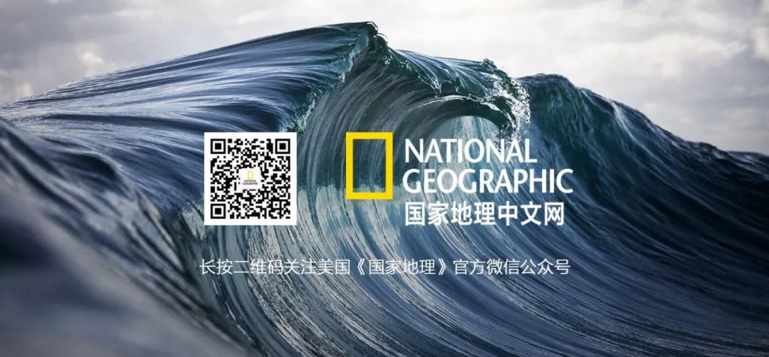 被废弃的私人豪宅,私闯豪宅后续