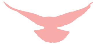 关爱志愿者服务队,公益志愿服务我们在行动