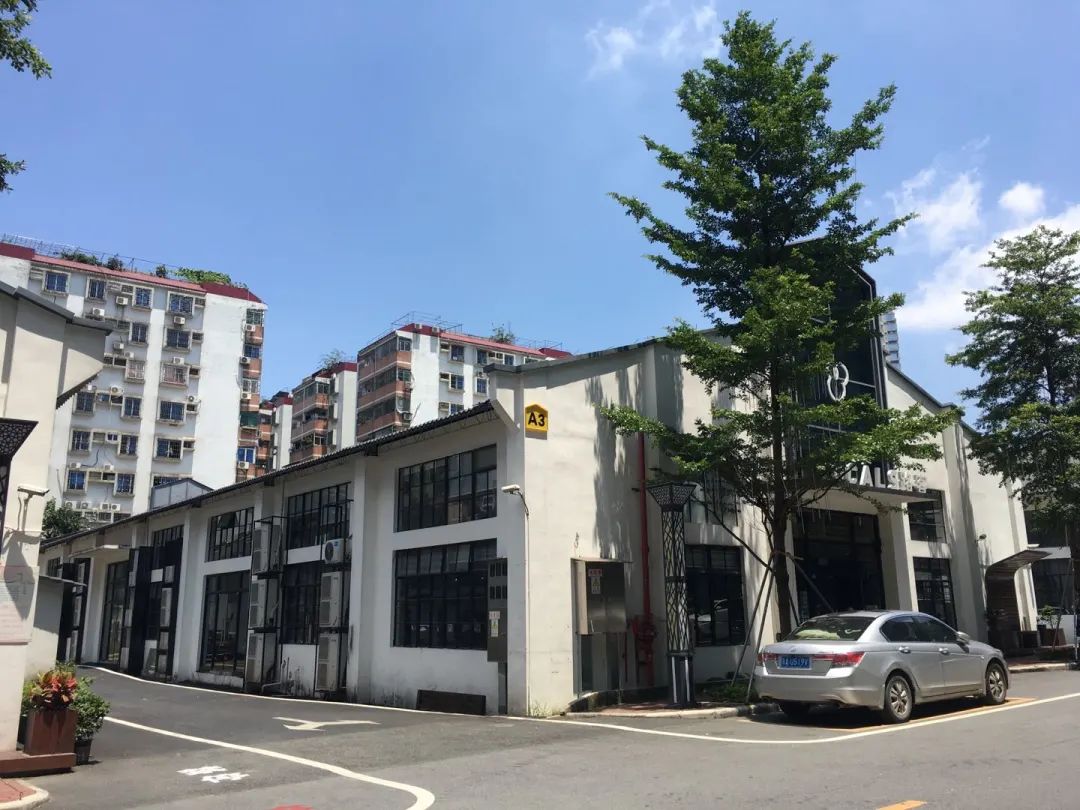 花城政能量丨有干货！海珠区这么做，村民经济效益大提升