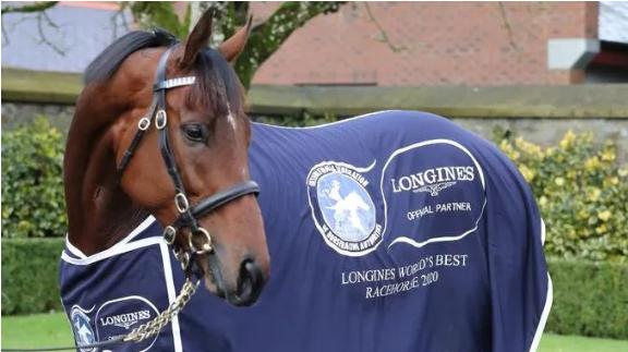 全球最帅马匹排行,世界赛马马王排行榜第一