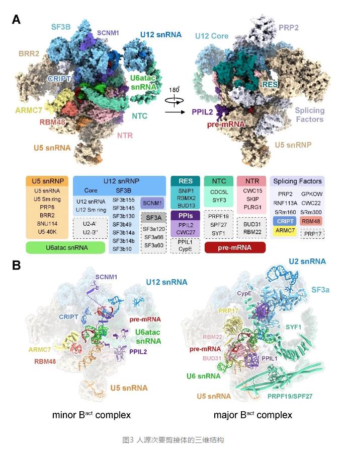 西湖大学校长施一公团队最新研究,施一公电镜结构技术含量