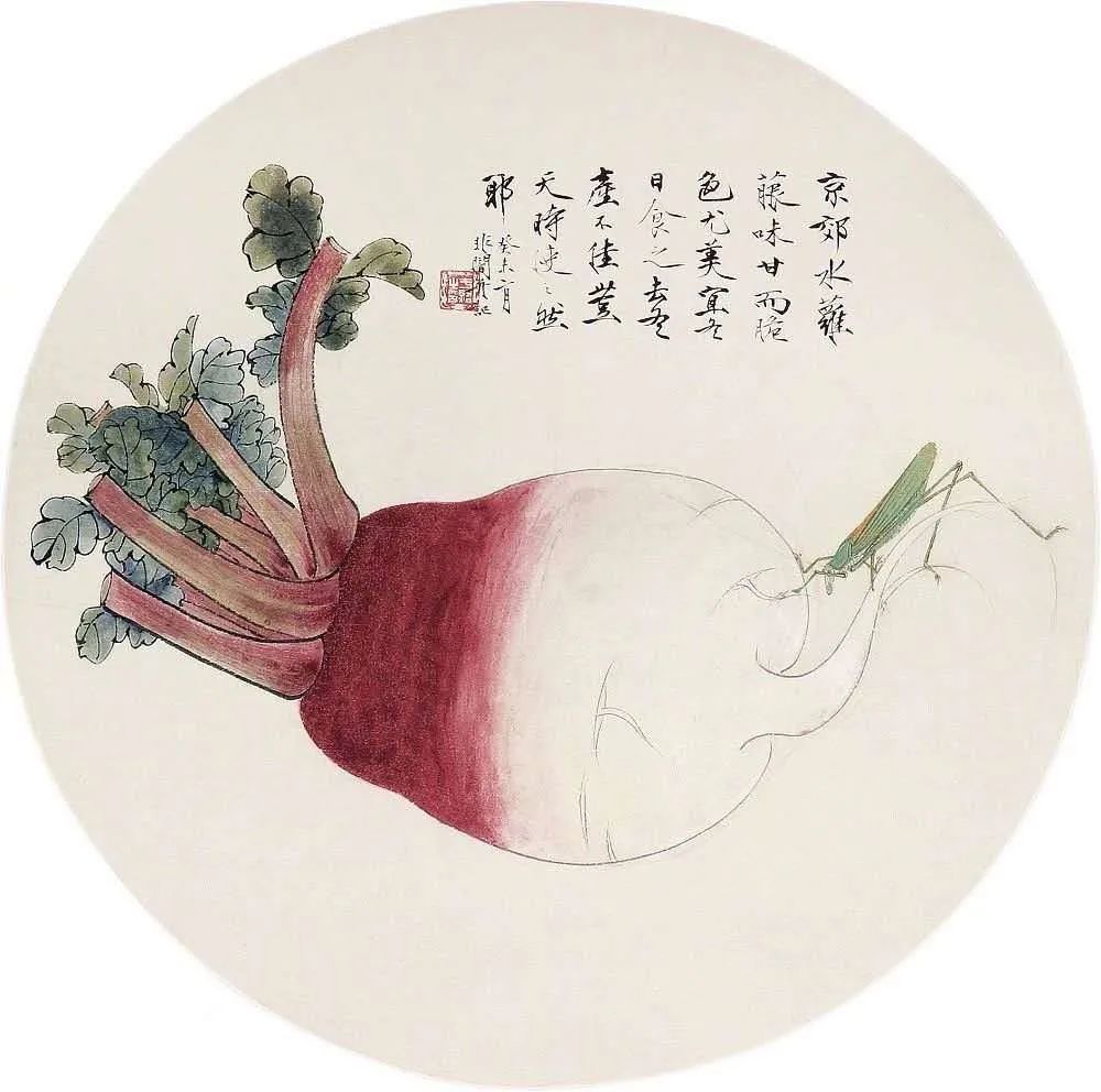 饶薇工笔蔬果草虫画,工笔蔬果绘画技法