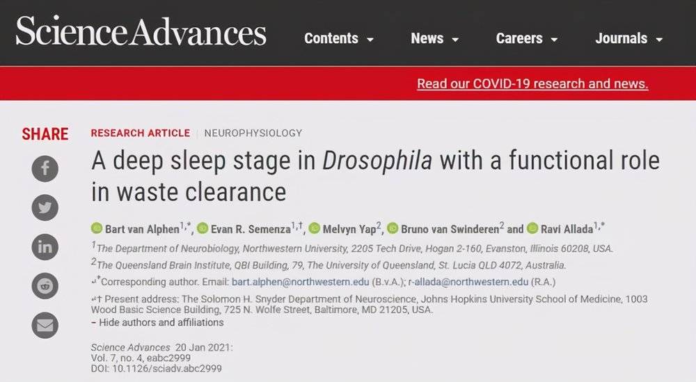 深度睡眠能改善身体什么问题,深度睡眠解决大脑劳累