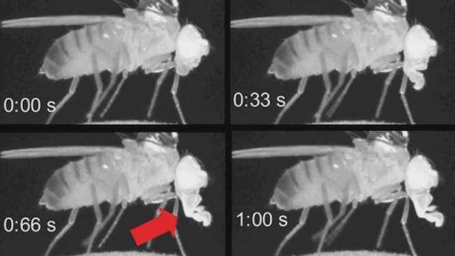 深度睡眠能改善身体什么问题,深度睡眠解决大脑劳累