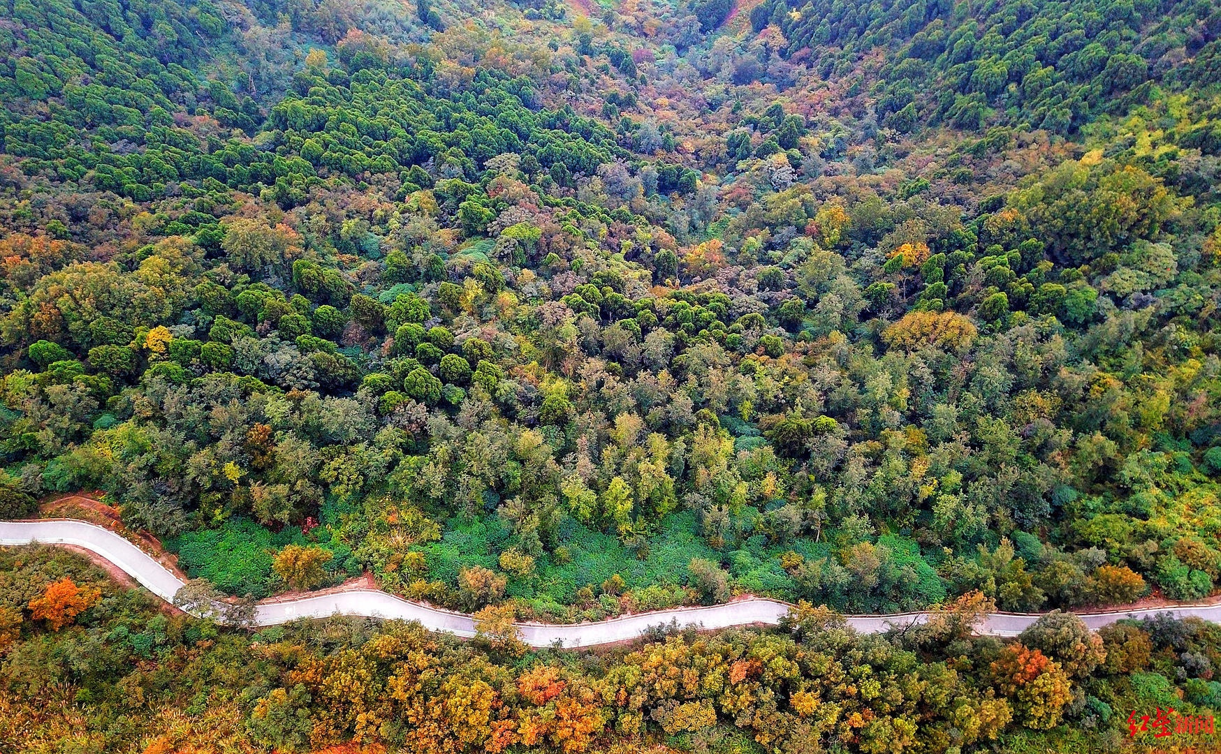 跟着20条精品线路逛成都,过年成都旅游2-3天攻略最佳线路