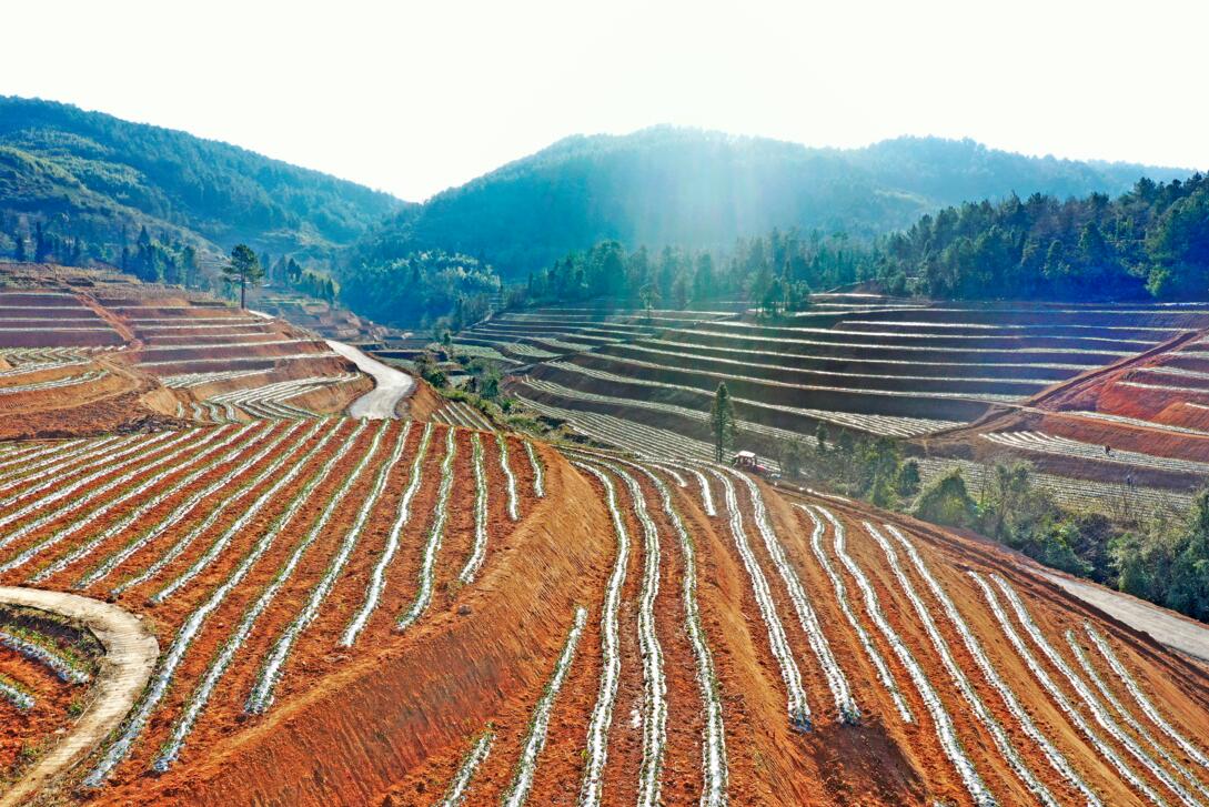 巩固脱贫攻坚成果与乡村振兴衔接,巩固扶贫成果助力农户致富奔小康