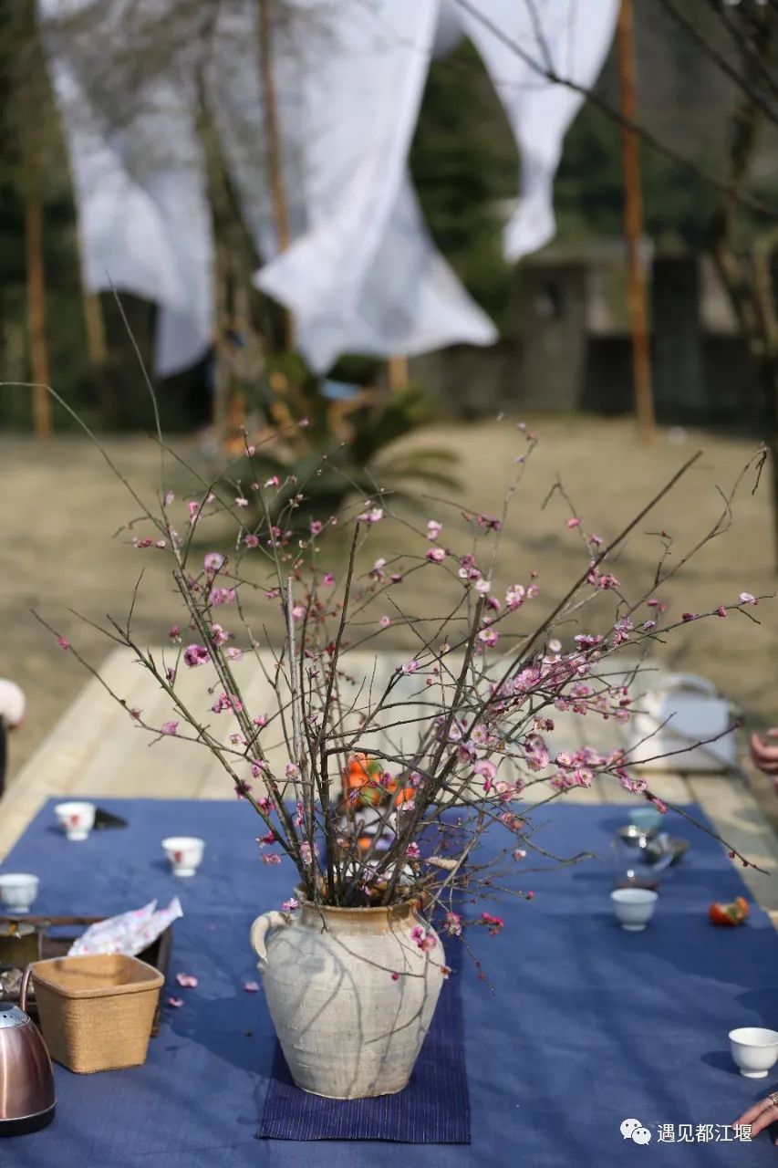 青城山开了家很网红的民宿,民宿探店成都