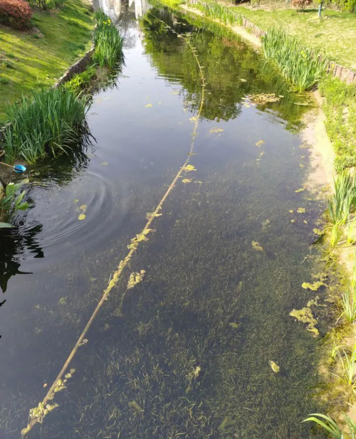 美丽河湖公示,首批美丽幸福河湖名单