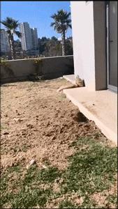 大理滇中引水工程招聘,云南滇中引水工程招聘信息