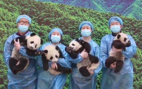 早安山东丨新的一年，与春同行奋力“犇跑”；“我和我的家乡·一把手话发展”今日关注潍坊寿光；假期每日好片为您推荐《你好，李焕英》