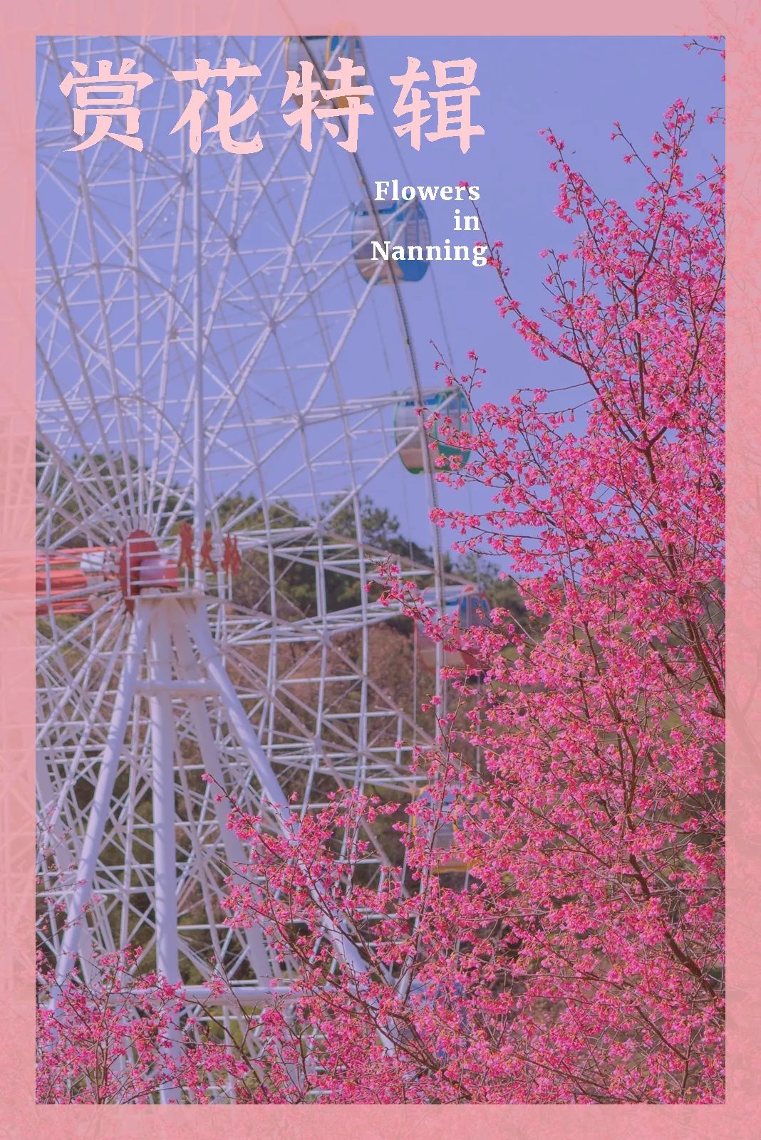 南宁赏花2022,赏花攻略南宁