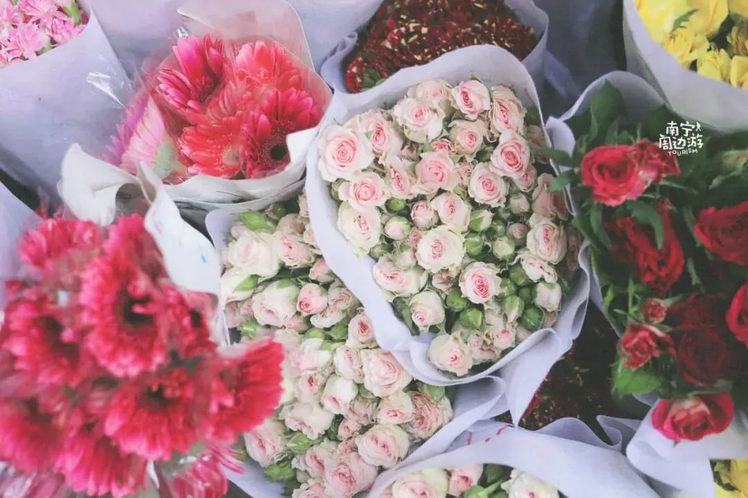 南宁赏花2022,赏花攻略南宁