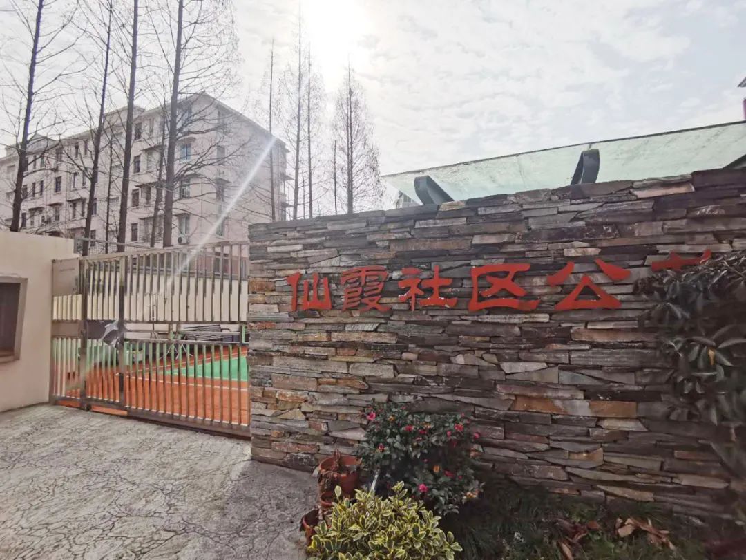 长宁唯一的一支门球队，球员平均年龄近70岁，仍旧是“生龙活虎”