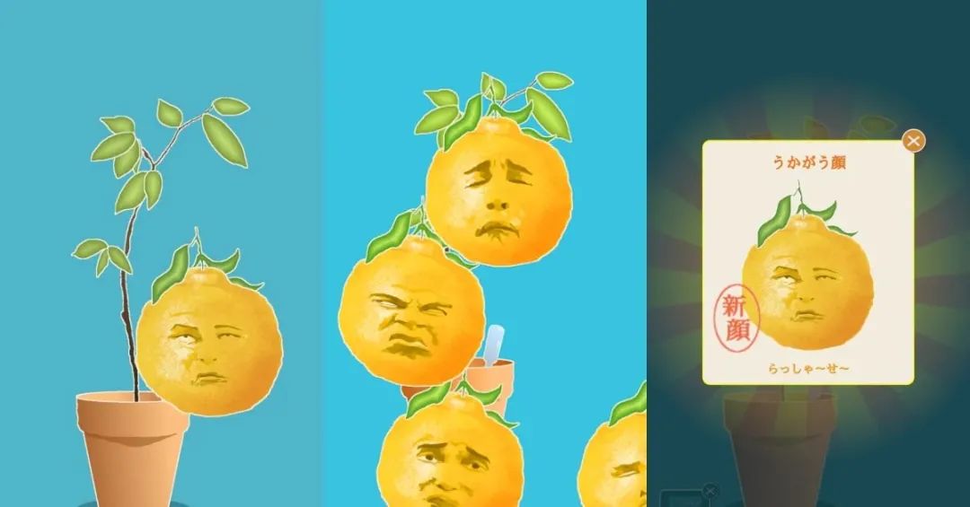 旅行青蛙表情包贝爷,旅行青蛙表情包