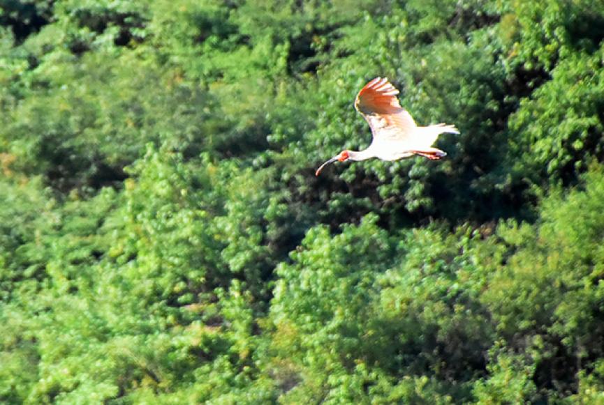 铜川以什么产业为主,铜川市靠什么发展