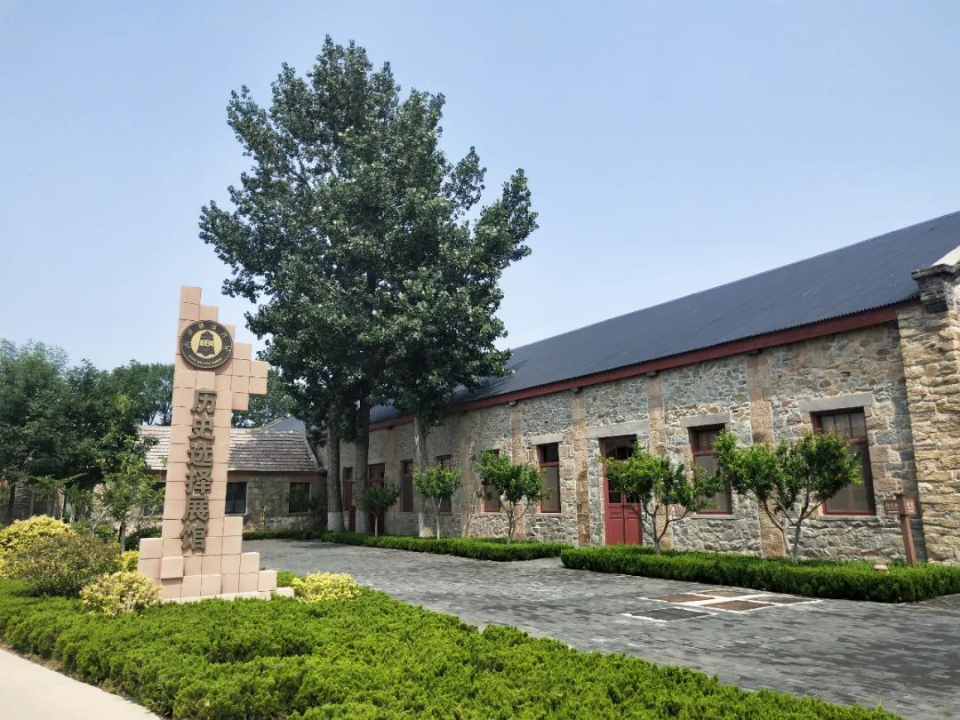 威海宝藏海岛旅游攻略,威海旅游打卡必须去的地方