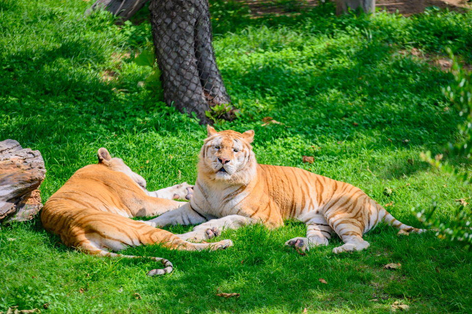 威海宝藏海岛旅游攻略,威海旅游打卡必须去的地方