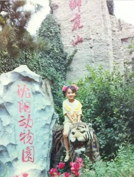 96年沈阳回忆,80年代的沈阳有多辉煌