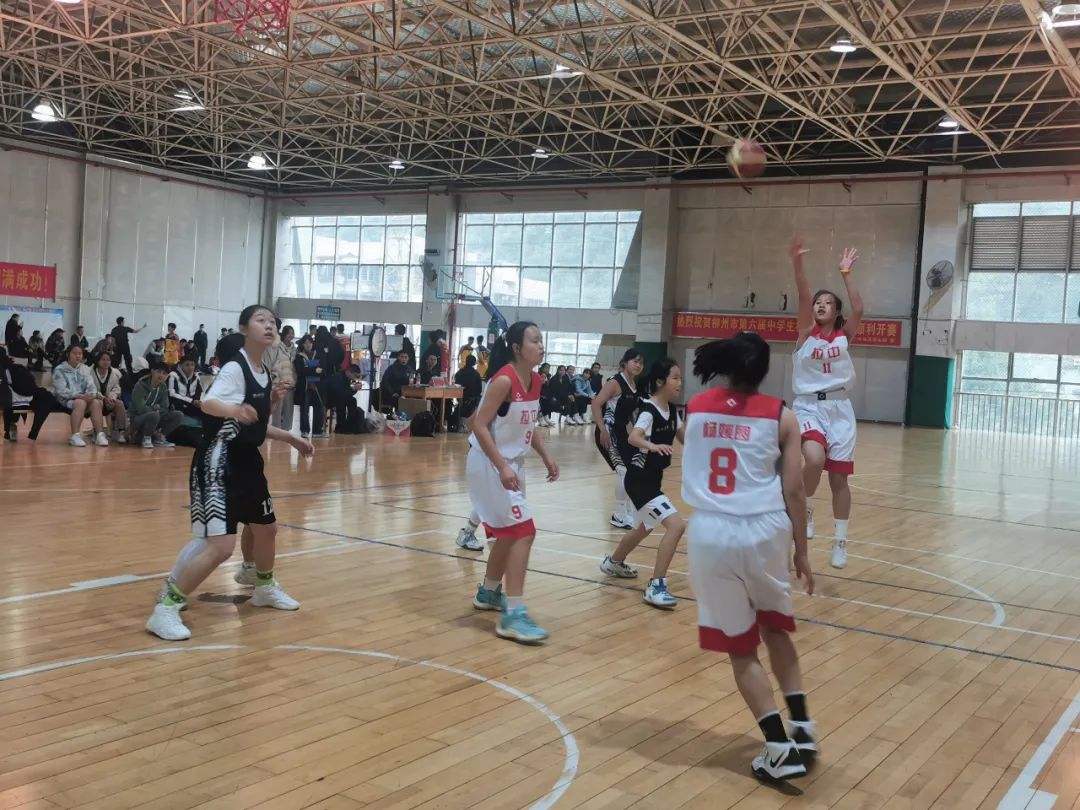 柳州融合教育,体教融合工作实施方案