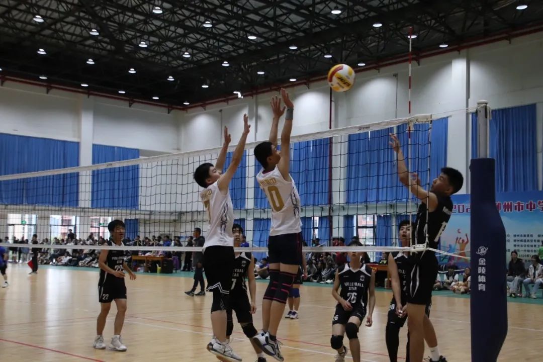 柳州融合教育,体教融合工作实施方案