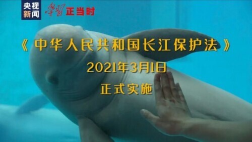 孩子被老师重罚家长该怎么办,孩子被老师针对家长应该怎么做