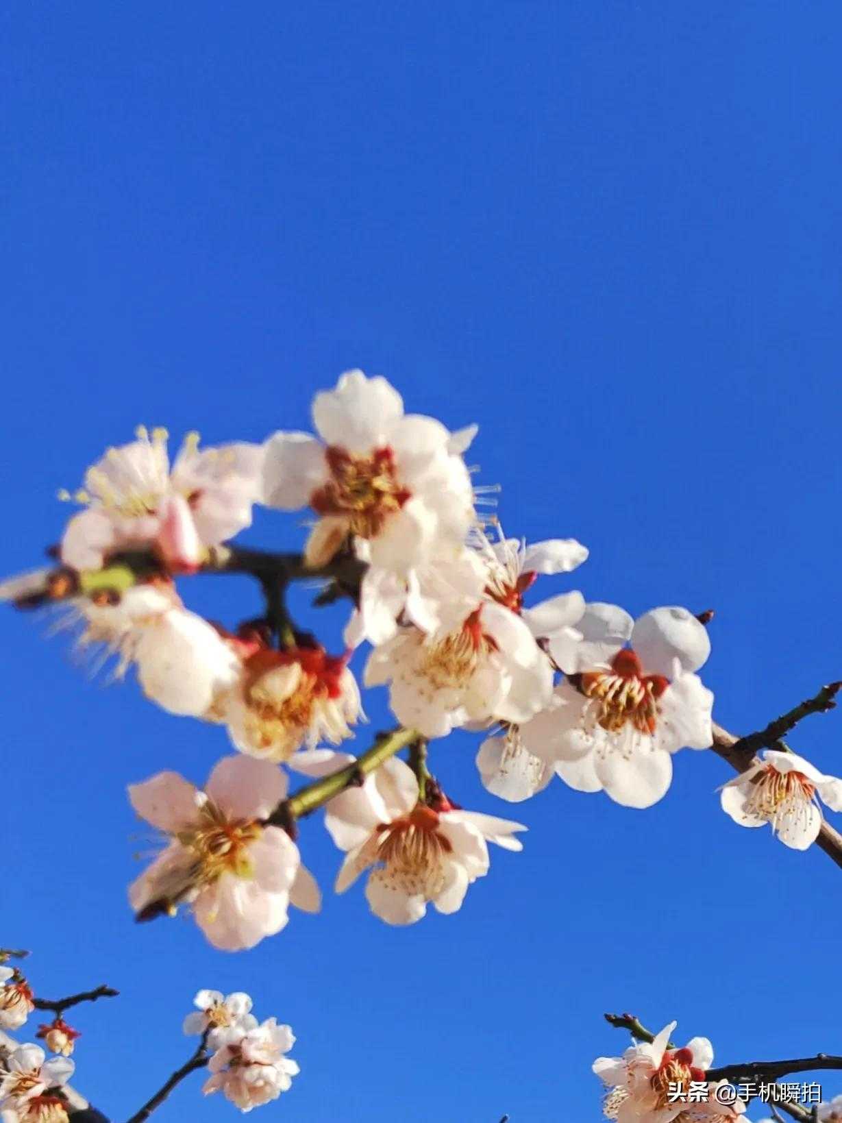 青未了电视剧的回忆,青未了童年掠影