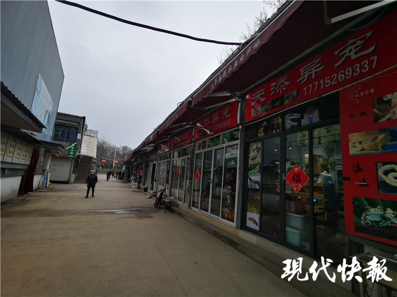 宠物店买的猫几天就死了怎么赔偿,宠物店买了个先天病猫能退吗