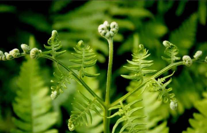 上帝的数字是20,上帝的数字代码