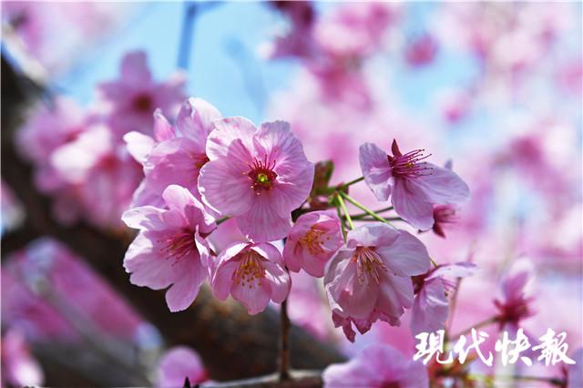 阴雨霸屏出门带好雨具,阴雨连绵撑伞