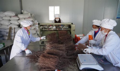 一场特色产品推介会，线上+线下销售1300余万元，汉滨区这群“硒哥硒妹”咋做到的