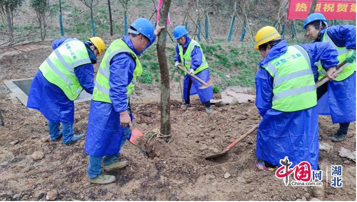不负*光春**湖北林勘联手陕西三和为王家冲水库添绿