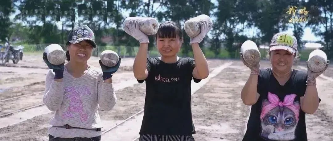 做孩子们的“圆梦人”！看上海师大、西安科大、青海师大的扶贫故事|教育脱贫攻坚微视频接力㉖